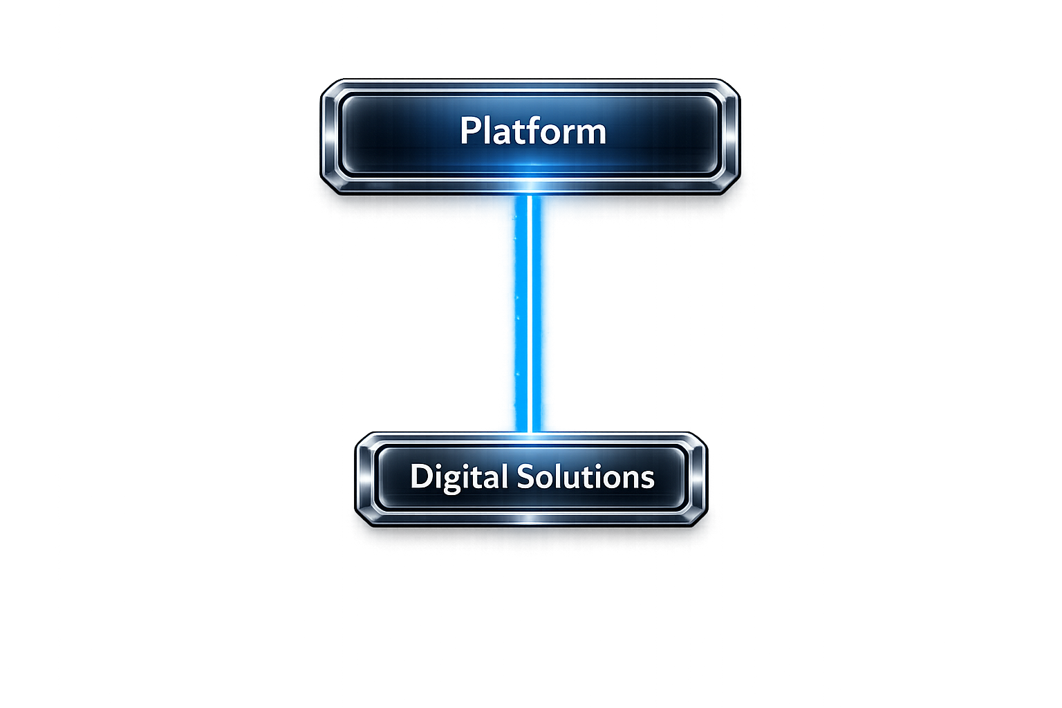 Platform Ecosystem – Interface International